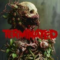 Captain Insano Shows No Mercy